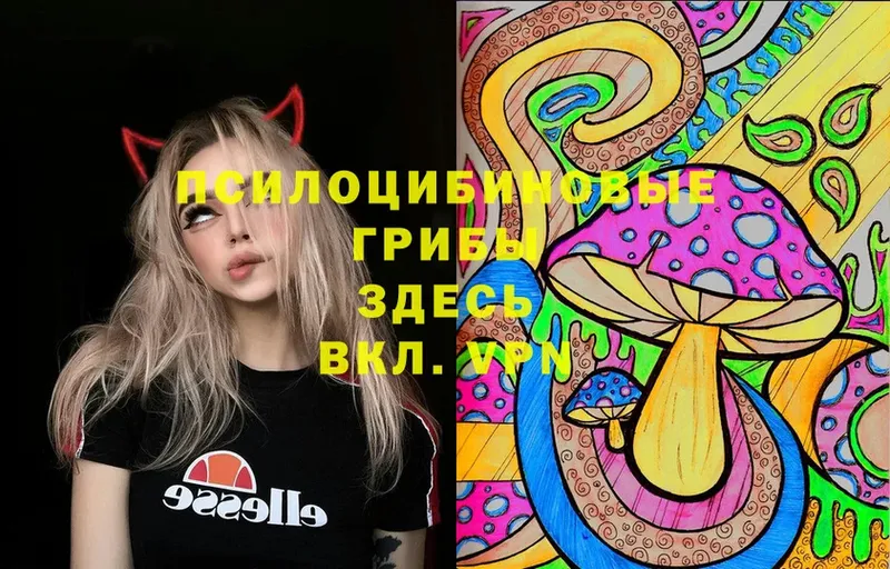 Псилоцибиновые грибы мицелий  omg вход  Белинский 